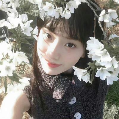 焚海的人